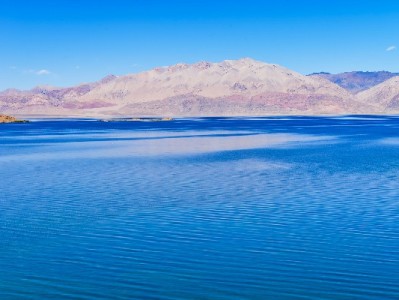 商家吐槽花呗被"自动开通"？经营助手"安出掌柜"教你自主关权