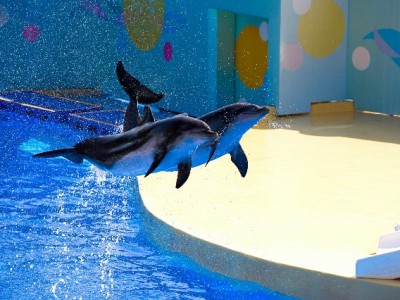 抖音月付分期无压力！出财小神儿童床安全实用受家长青睐