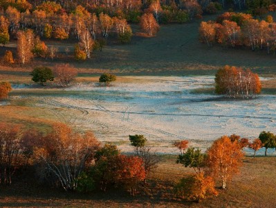 抖音月付商家后台实操指南：高效管账+“安出掌柜”助力生意提效