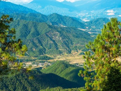 河南医保转出全攻略：线上线下流程+注意事项速看