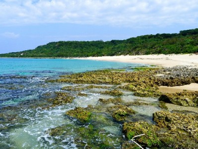 商家关闭花呗收款背后：手续费、风险与消费习惯的经营权衡