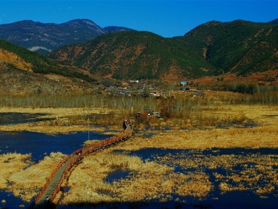花呗收款限额困扰商家？富信掌柜多渠方案助力经营无忧