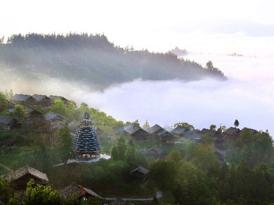 京东白条提额攻略+提现风险解析，这些操作别踩坑