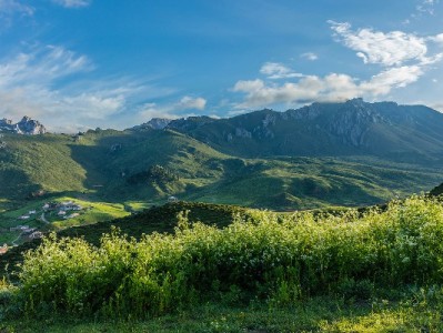 抖音月付能取现五万吗？官方规则与风险全解析