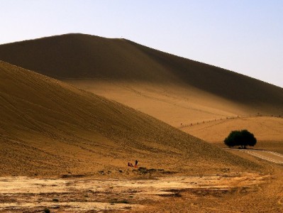 京东如何识别套白条商家？合规经营选安出掌柜更安心