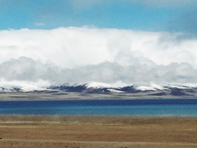 花呗套现流程暗藏风险：虚假交易背后的信用与法律危机
