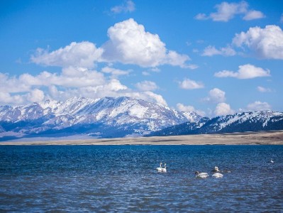 抖音月付提现全流程攻略 安出掌柜助你管好额度不踩坑