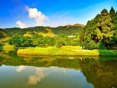 花呗被冻结别慌！这类正规套餐或能帮你恢复额度