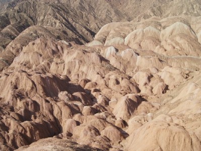 徐州“京东白条商家”崛起：信用支付如何激活本地消费新活力？