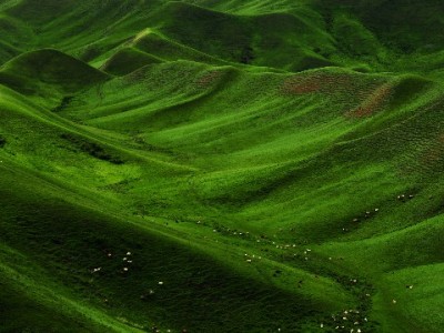 羊小咩套现涉嫌违法？合规平台安出掌柜教你正确用额度