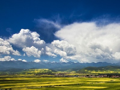 抖音月付商家版助力"安出掌柜"：分期功能激活18%转化增长