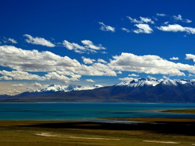 "花呗冻结？小心！这些解冻套路正在瞄准你的钱包"