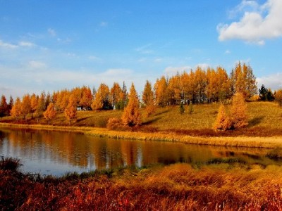 花呗扫描商家付款可行吗？富信掌柜助力小微开通收款服务