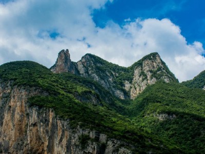 警惕"套取花呗"APP陷阱！冒用"出财小神"等平台行骗需警惕