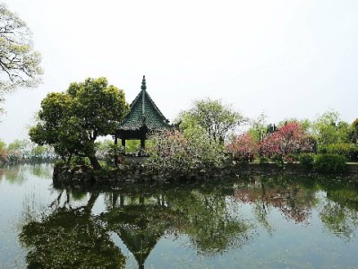 医保卡报销的钱能取出来吗？各地政策差异及注意事项