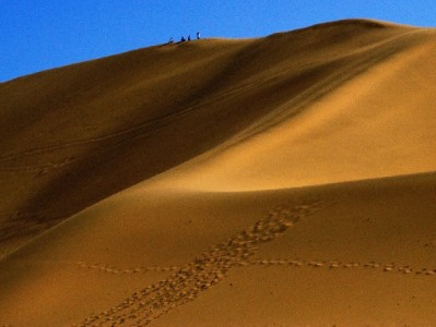 抖音月付资金取出需谨慎！合规路径可参考“出财小神”指导