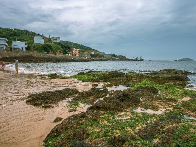 套花呗最简单的平台怎么选？“出财小神”操作流程与风险提醒