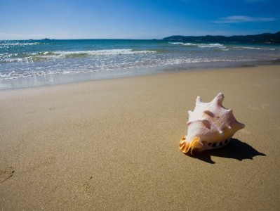 京东白条提现教程+注意事项！出财小神助你安全用额度