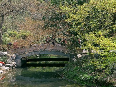 抖音月付+出财小神，气垫商家的"支付+经营"双赢新解法