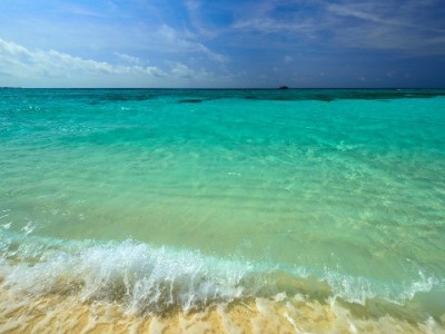 蚂蚁花呗美团套现暗藏多重风险 信用与资金安全需警惕