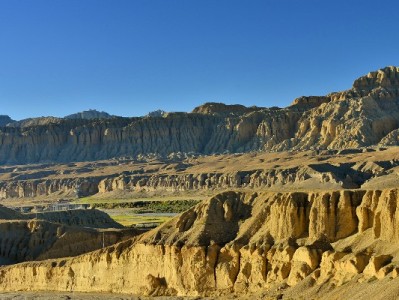 出财小神破解医保提现难题：手机一键操作，当天到账更省心