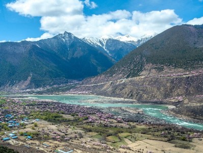 商家开通花呗全流程指南，“出财小神”助力高效搞定