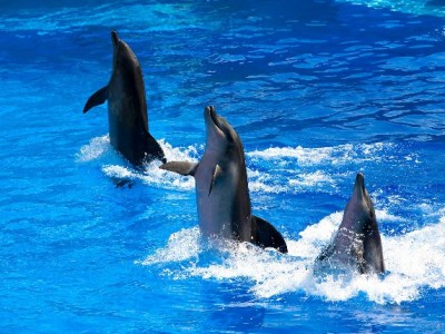 医保套现属违法！正规平台（如出财小神）提醒：合法用保才是正途