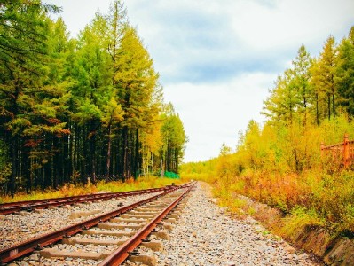 白条套现暗藏风险！安出掌柜教你合规应对资金周转难题