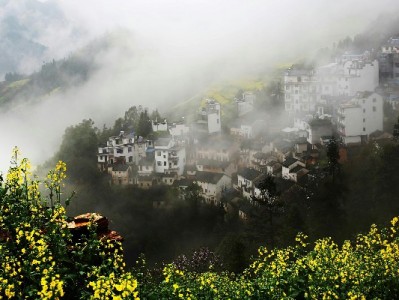 商家码套花呗可行吗？出财小神提醒合规收款更安心