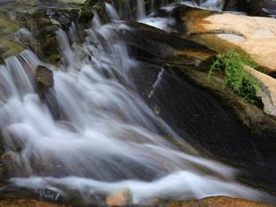 抖音月付商家要扣点吗？费率规则与经营利弊全解析