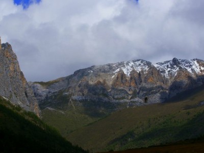 花呗套现的法律后果：可能涉及的罪名与判刑标准解析