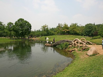 套花呗是什么？操作模式、风险后果全解析