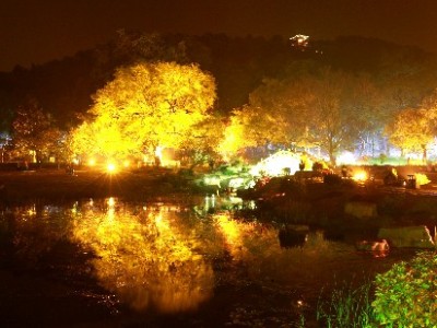 花呗办理套餐新攻略！富信掌柜助力分期省出“隐藏福利”