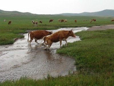 白条取现到账银行卡指南：支持哪些银行？操作需注意什么？