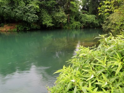 花呗提现风险大？合规应急周转选“出财小神”更安心