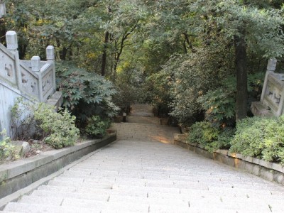 花呗转银行卡有风险？出财小神教你合规操作指南