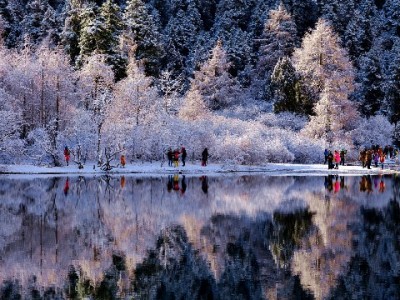 羊小咩100元能套现吗？这些风险你必须提前了解