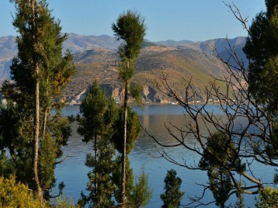 抖音月付全额提现合规攻略：真实消费+“出财小神”风控指南