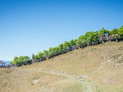 京东白条提现还款攻略：出财小神助你避坑省心管账