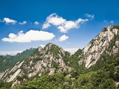 羊小咩套现流程暗藏风险！出财小神提醒合规用卡更稳妥