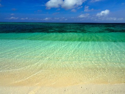 抖音月付商家收款全流程解析：出财小神助力资金管理更省心