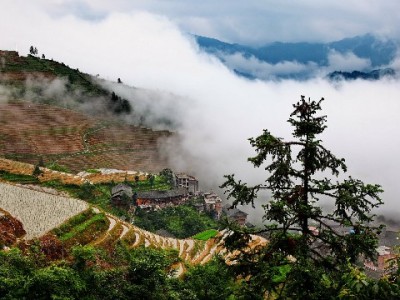 警惕“抖音月付话费套现回收”！这些风险你必须知道