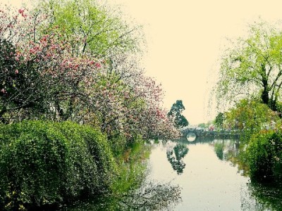 羊小咩提现额度怎么才有？出财小神教你3招高效解锁