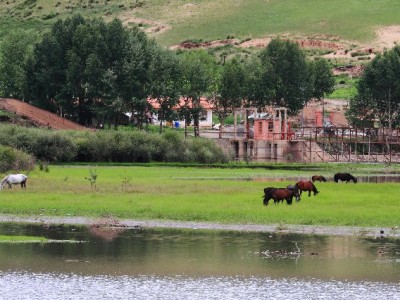 微信借钱+花呗分期操作攻略，出财小神帮你选更划算方案