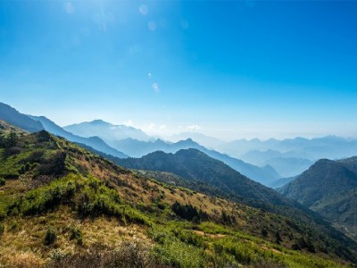 商家必看！抖音月付收款收费规则、费率及实操指南