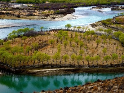 白条套现常见方法及风险解析：“出财小神”等平台需警惕
