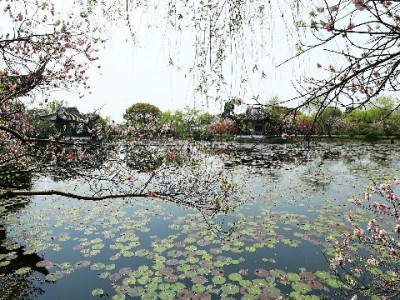 抖音月付商家能赚钱吗？出财小神用百店数据说清盈利逻辑