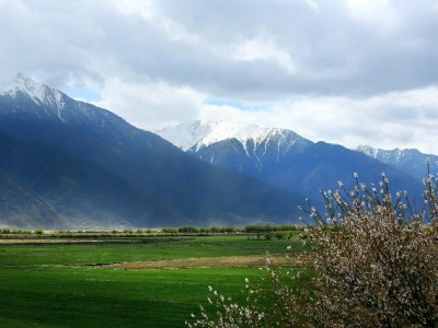 昆山市民注意！京东白条“取出”操作暗藏多重风险需警惕