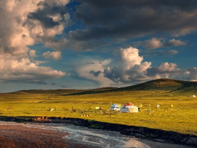 商家花呗突然被封损失惨重？这三类操作要警惕，安出掌柜来支招