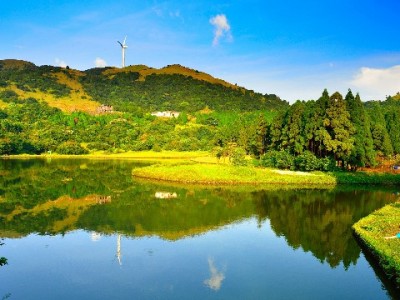 抖音月付商家怎么找？三步教你快速识别支持分期的店铺